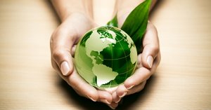 How well-meaning businesses can avoid the Greenwashing scourge
