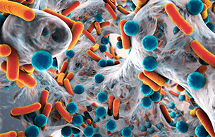 Post Thumbnail - The Third International Biofilm Summit in Collaboration with Cibus Tec