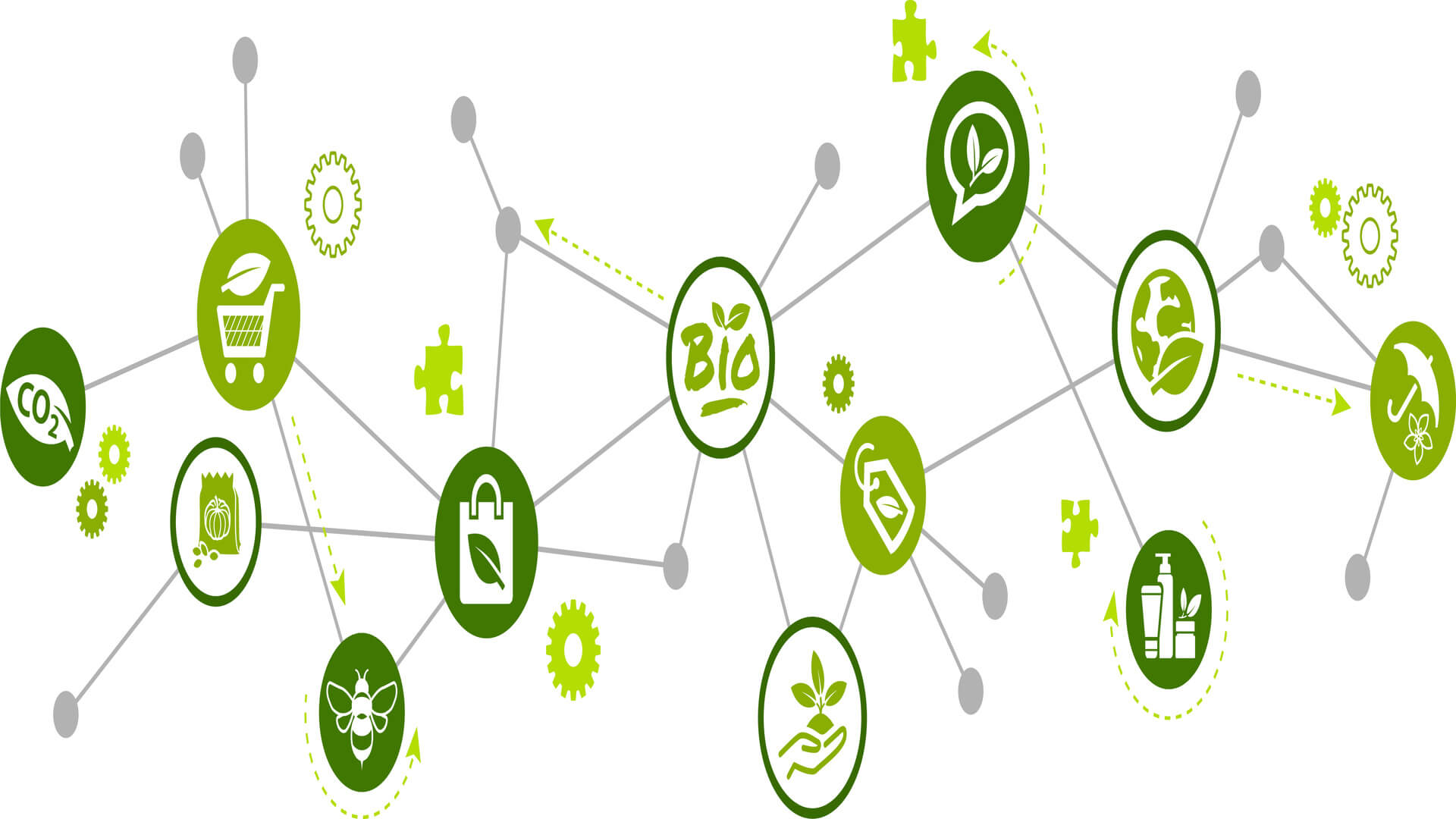 Eco Brands Helping the World - Featured Image | CEO Monthly