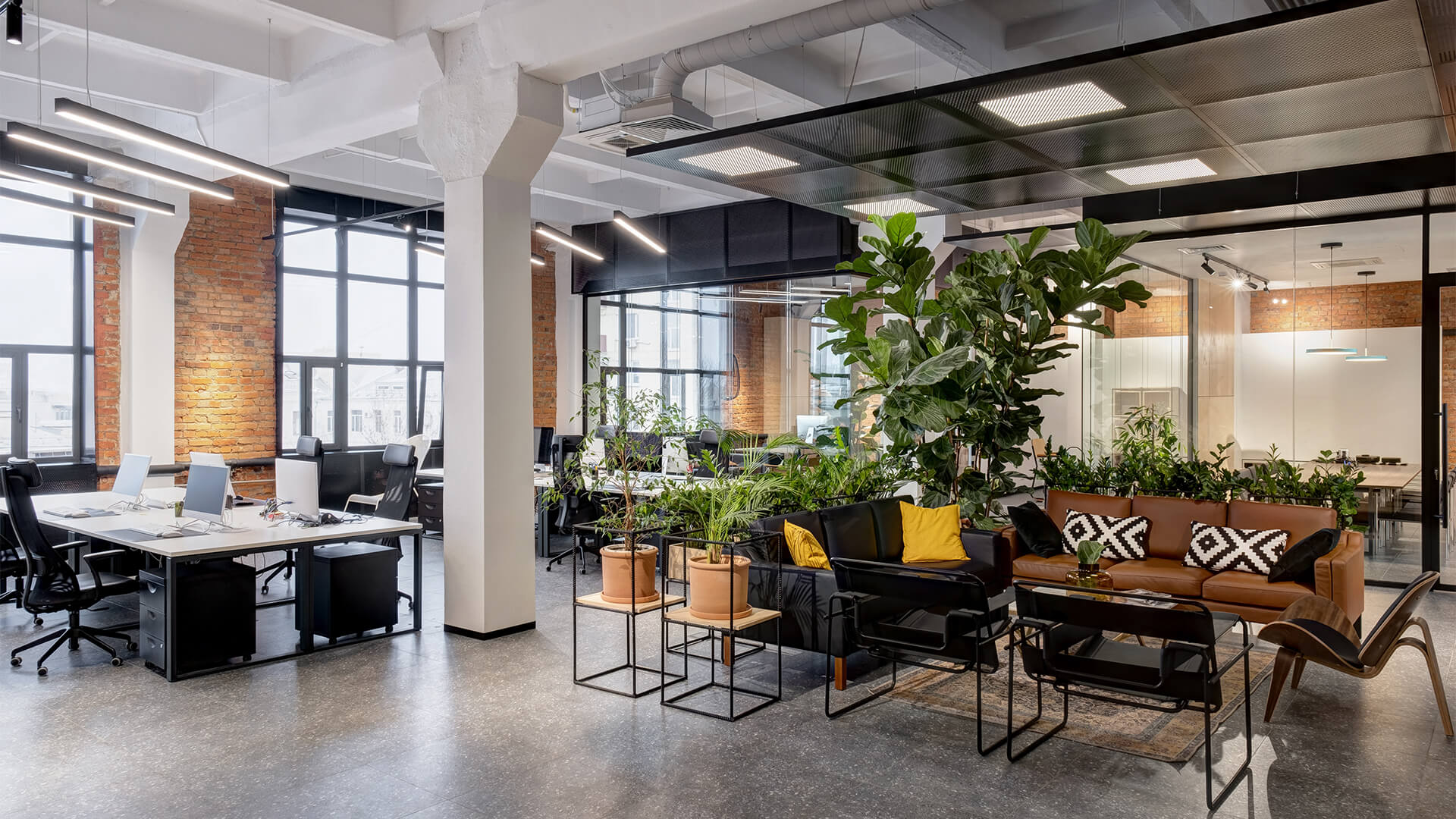 How Office Design is Shaping Employee Well-being