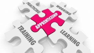 Focus on Skills: Why Apprenticeships Are the Future for Business