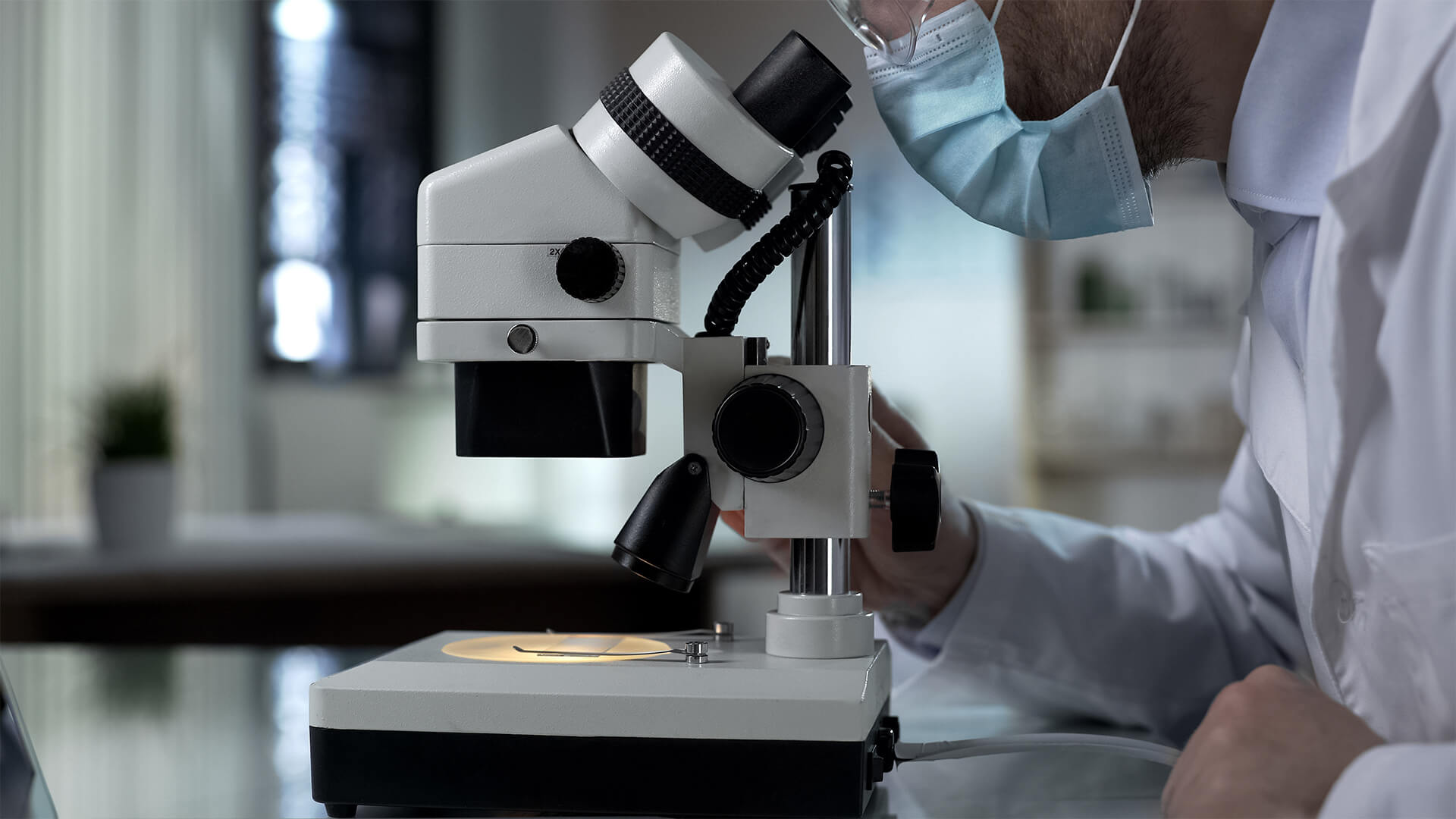 A Company Growing Alongside its Industry - Featured Image | CEO Monthly