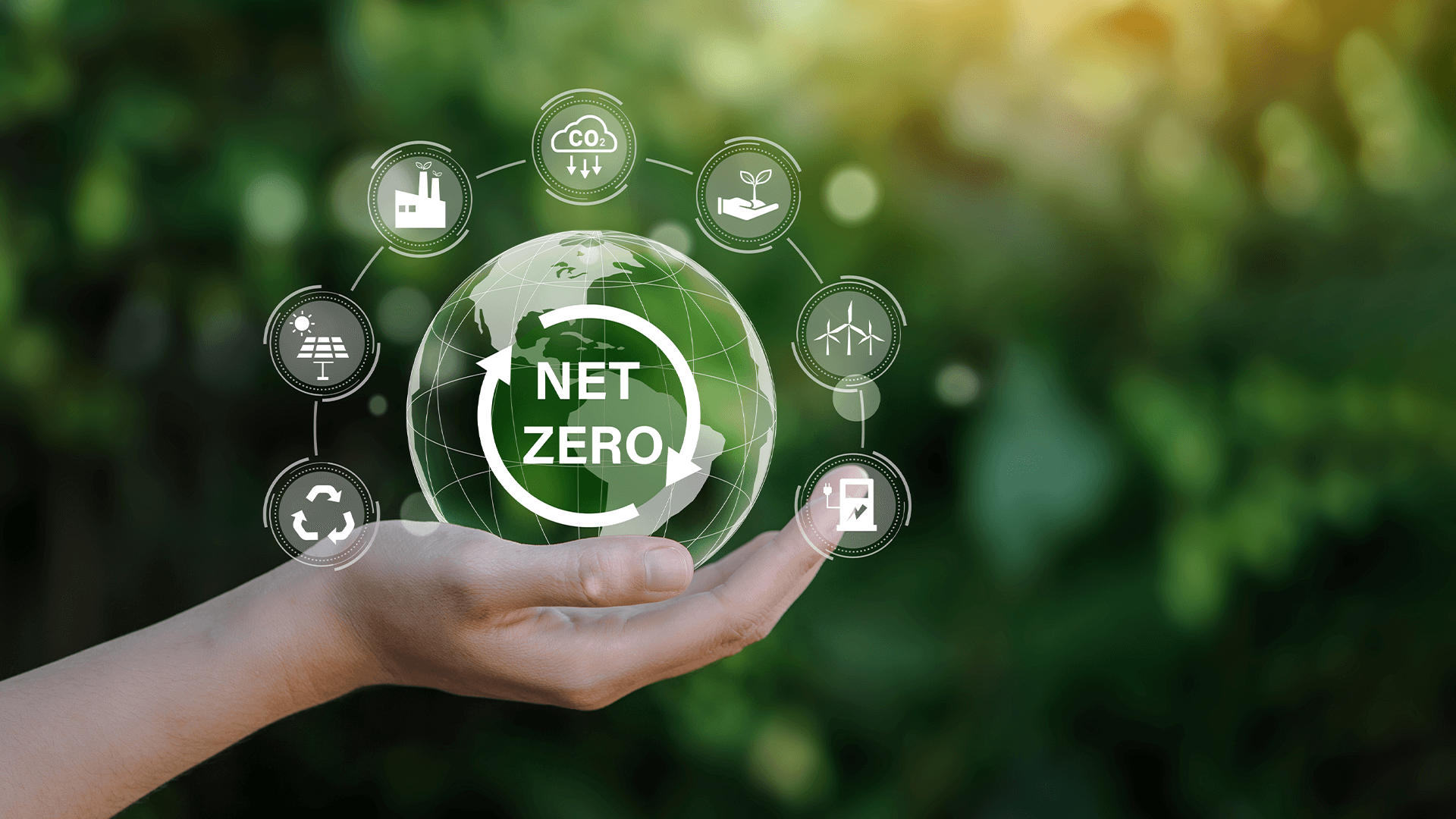 Why Energy and Net Zero Need to be a Board-Level Issue