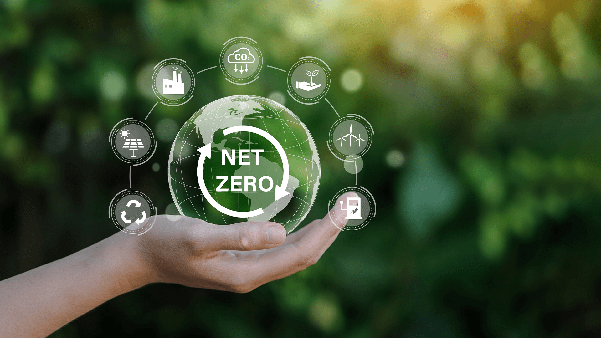 Why Energy and Net Zero Need to be a Board-Level Issue - Featured Image | CEO Monthly