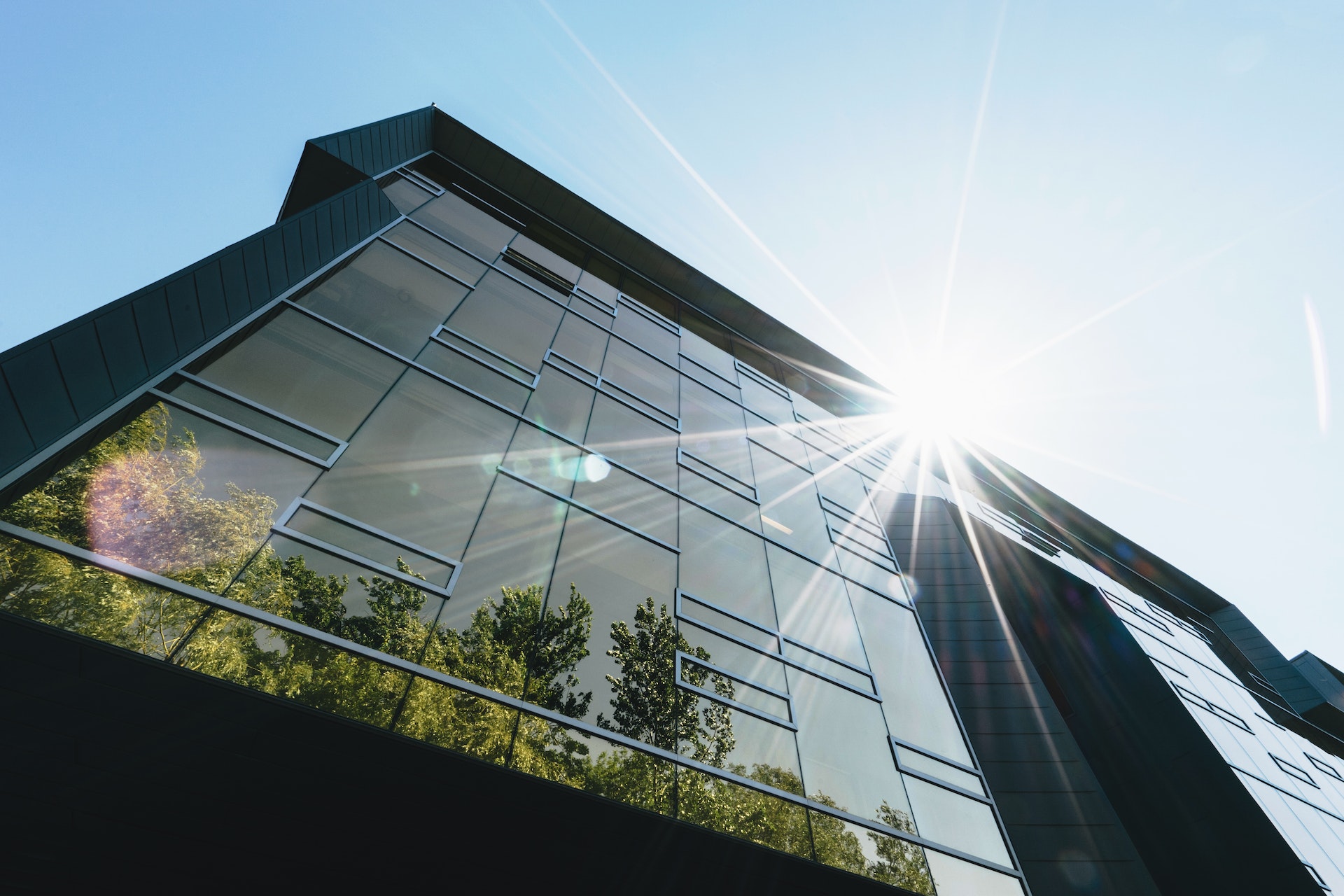 Reducing Business Waste: Sustainable Practices for a Greener Future - Featured Image | CEO Monthly